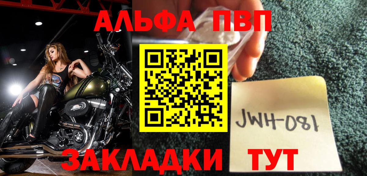 A PVP СК КРИС Ржев