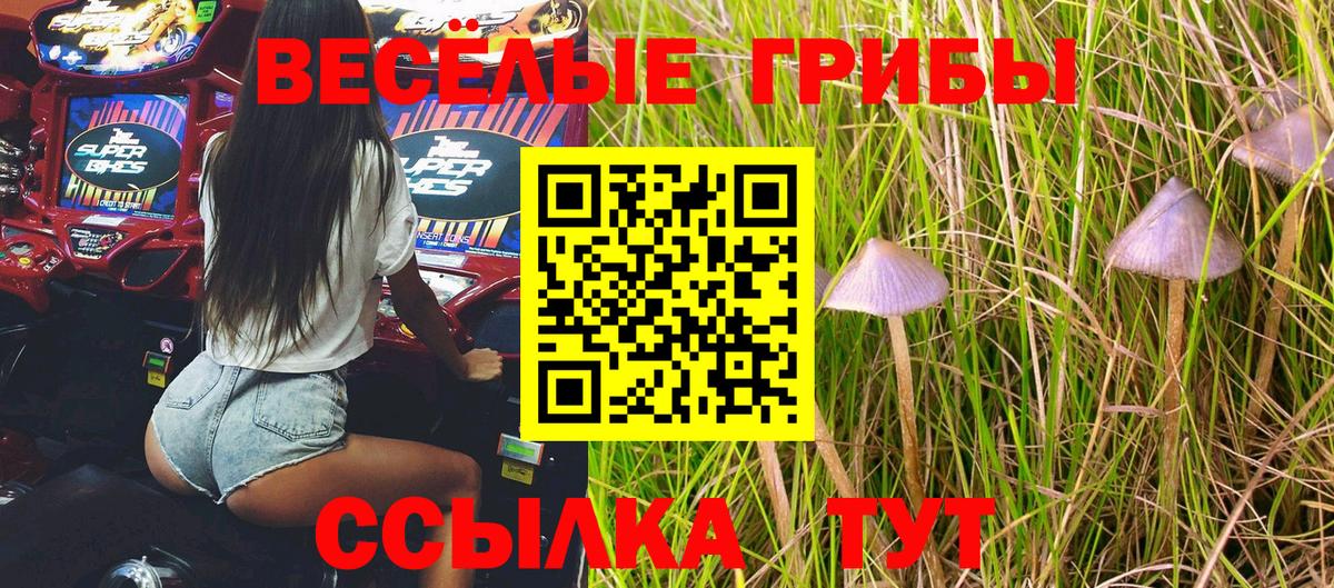 Галлюциногенные грибы мицелий  Псилоцибиновые грибы Magic Shrooms  Ржев  Вход с VPN 